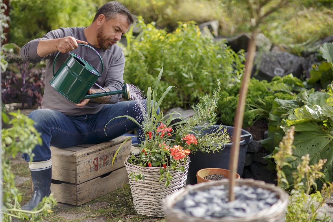 Bevattningsinstruktioner vid krukplantering