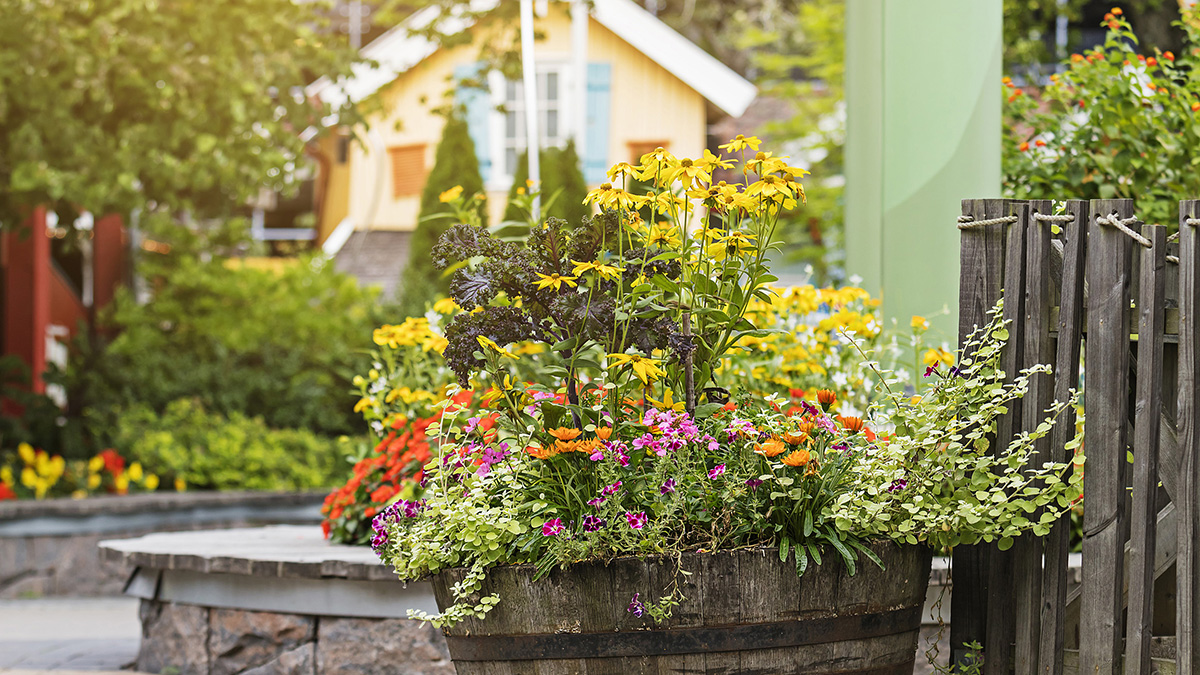 Liseberg använder Hasselfors Garden jordar för att plantera sina berömda sommarblommor