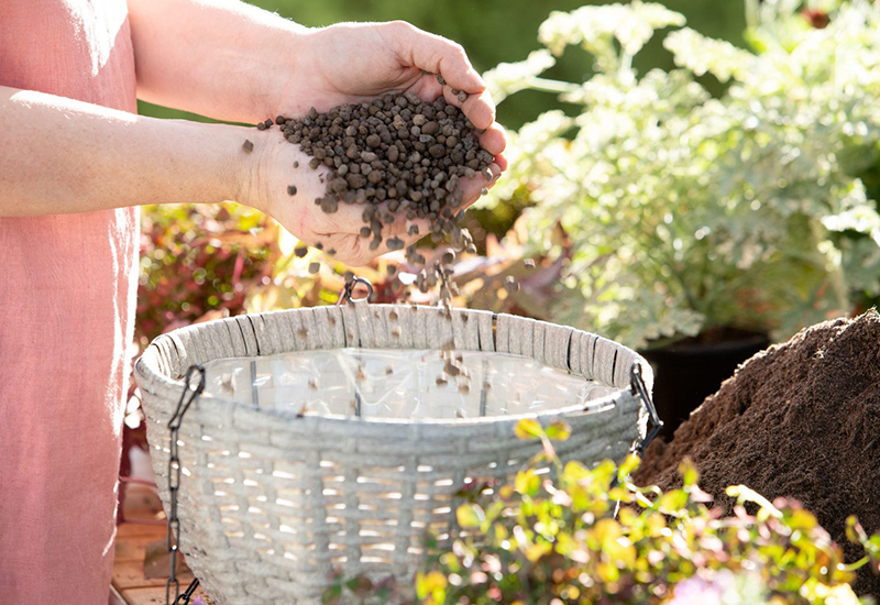 Tips och instruktioner på hur du får sommarblommor att trivas