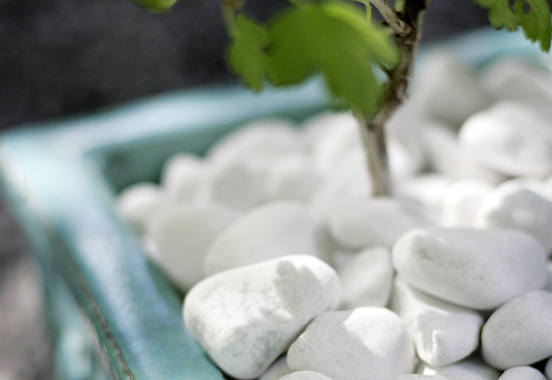 Dekorera din trädgård med täckmaterial som vit pebbles