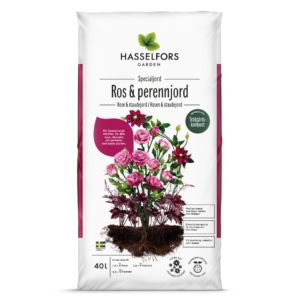 ros och perennjord