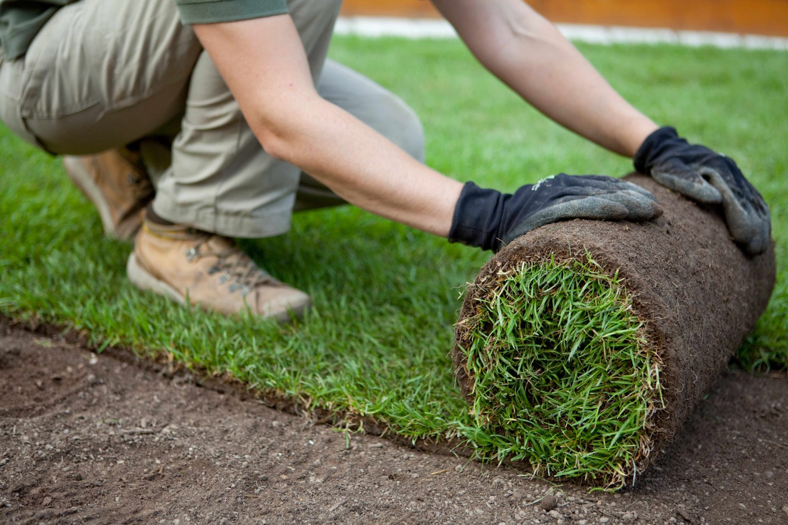 Gräsmatta på rulle