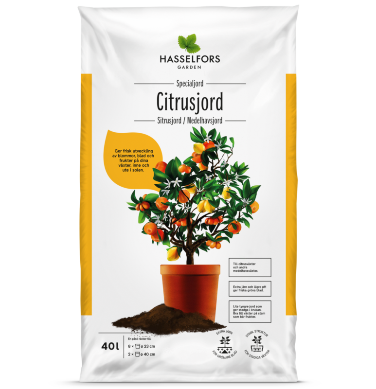 Citrusjord