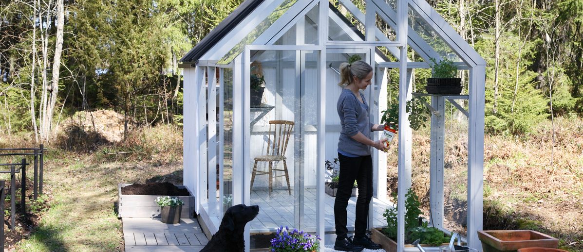 Vårstädning i växthuset