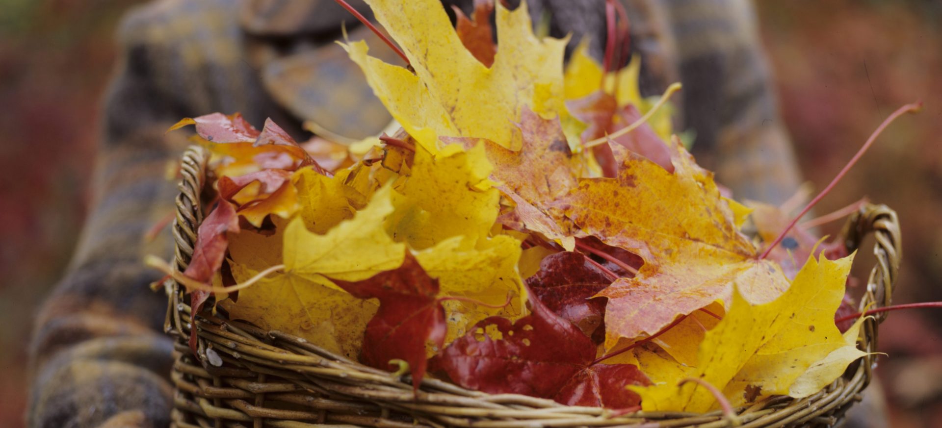 Oktober / November