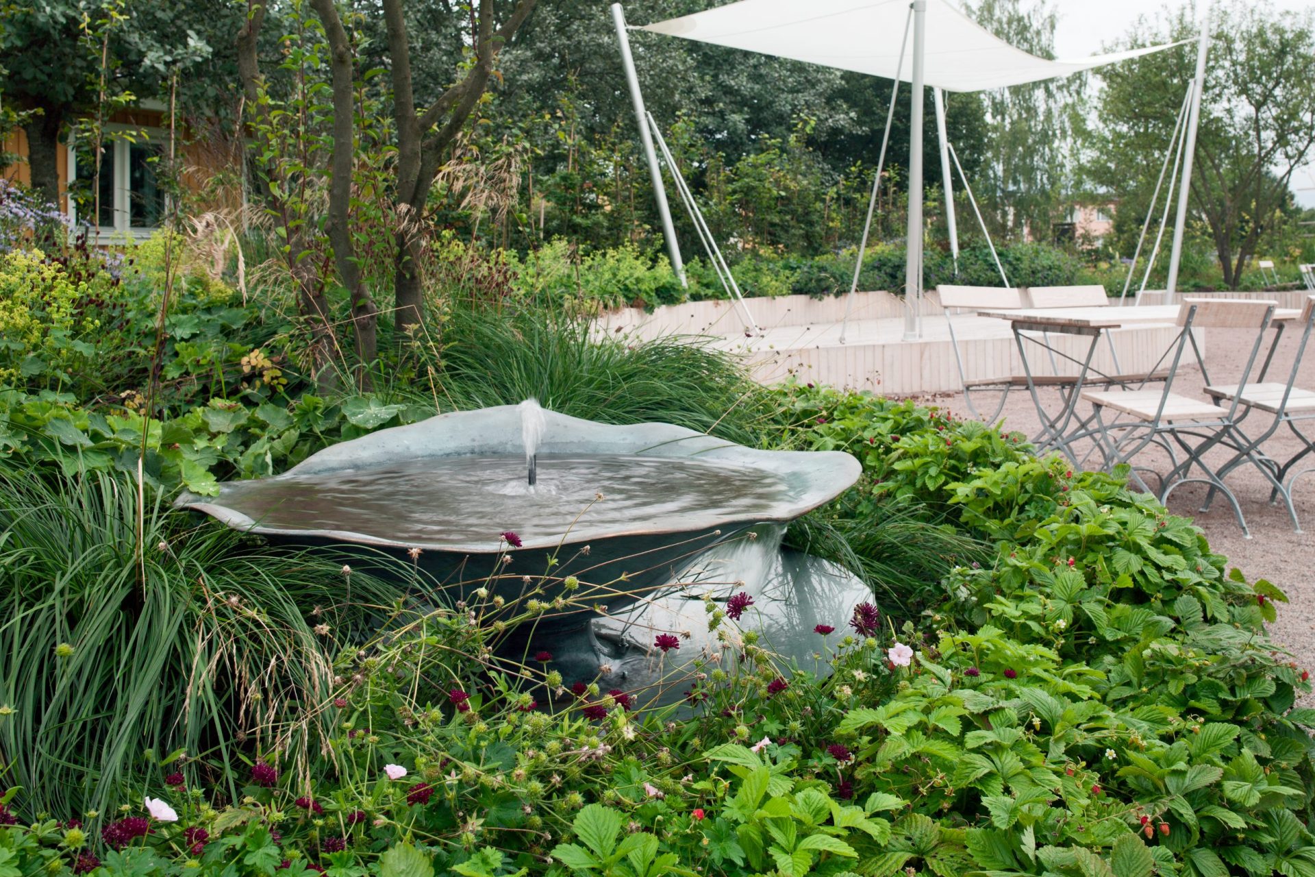 Rabatter – Annueller