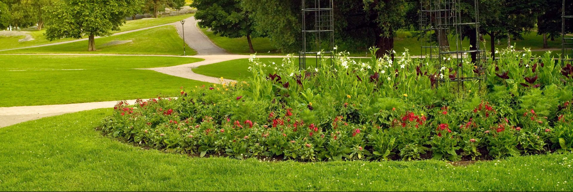 Rabatter – Perenner och mindre buskar