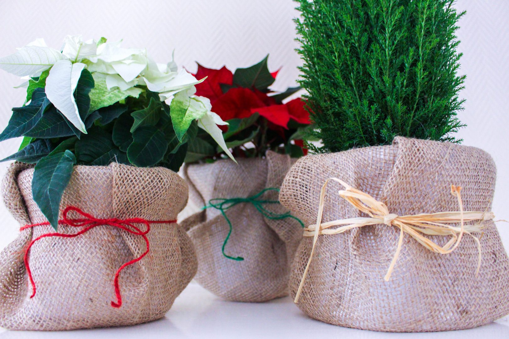 Klä in dina krukor i juteväv