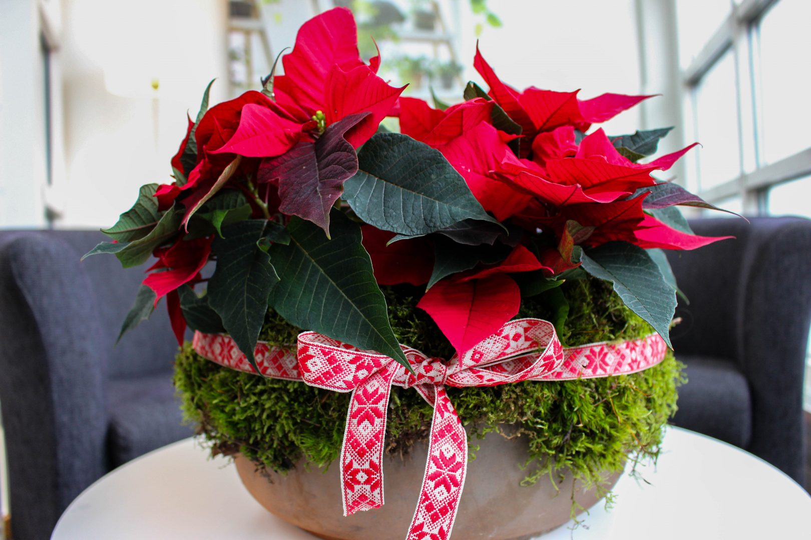 Gör din egen julgrupp