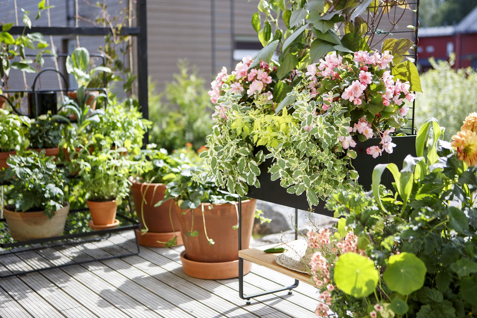 Inred din balkong och uteplats med växter