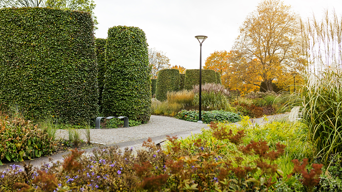 Trädgårdjord E – 35 år av hållbar växtkraft