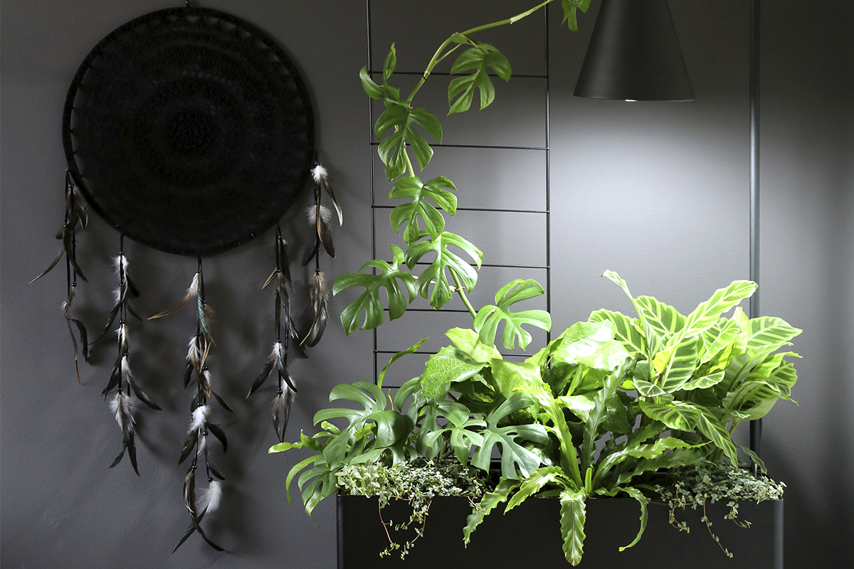 Växter i rampljuset – vilken växtbelysning ska du ha?