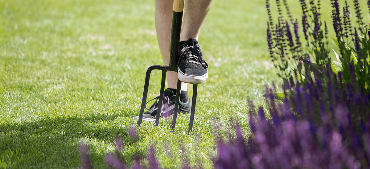 Hur blir jag av med mossan i gräsmattan?