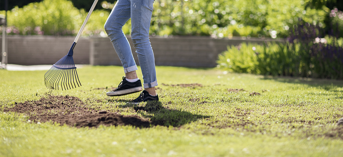 Toppdressa gräsmattan