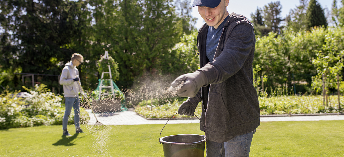Varför ska man kalka gräsmattan?