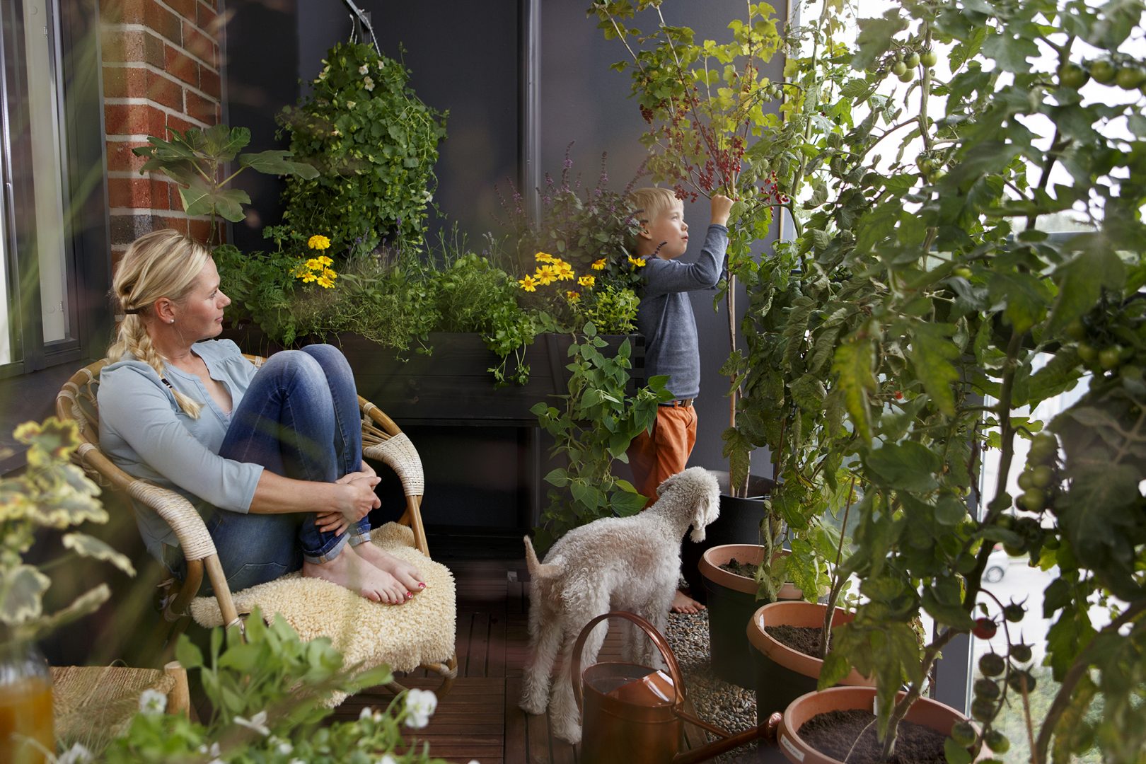 Odla på balkongen – vackert och fördelaktigt