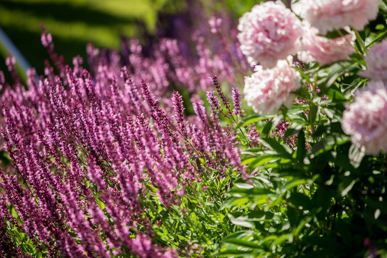 Lär dig mer om gödsel