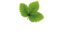 Hasselforsgarden.se