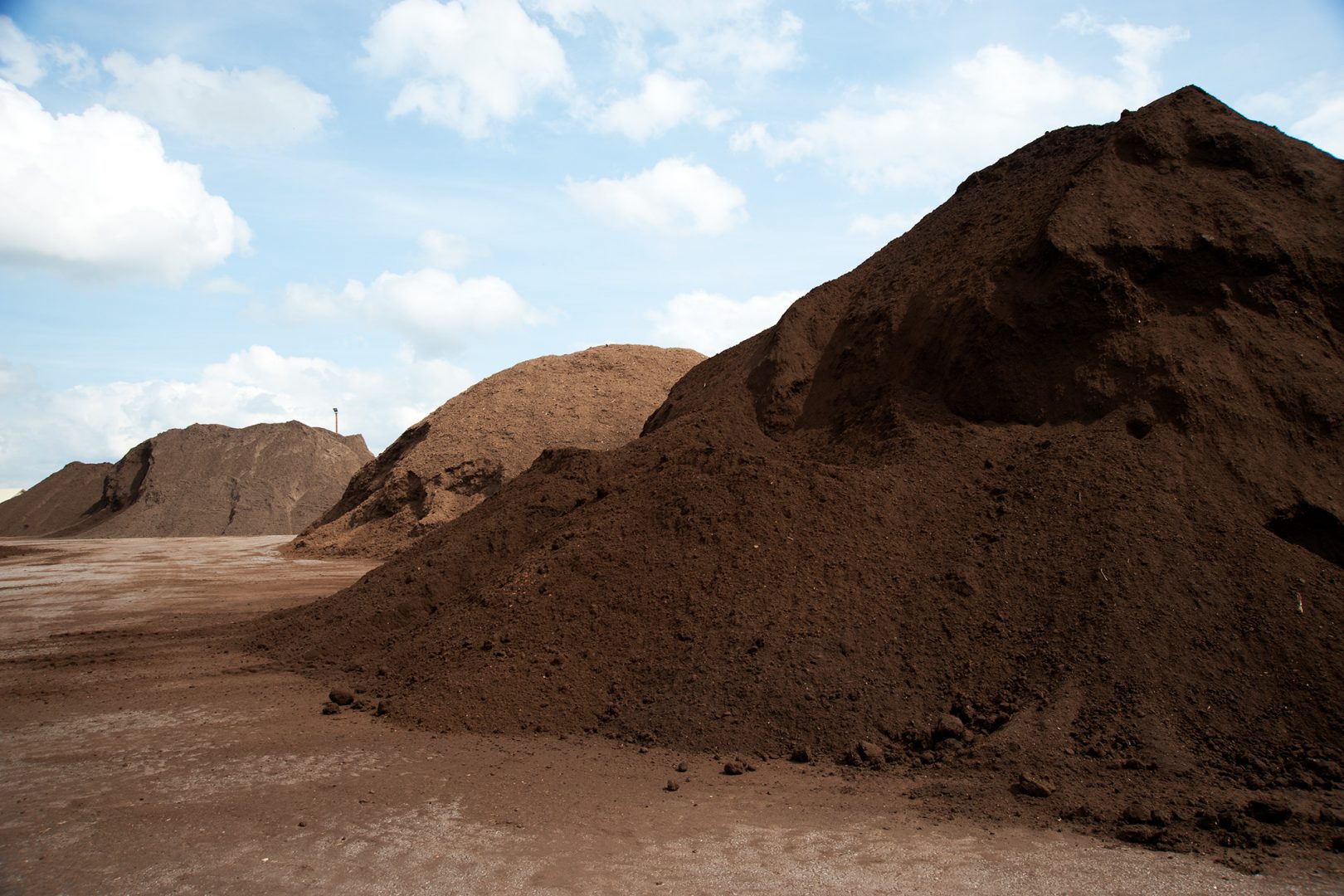 Så undviker du ogräs i din jord