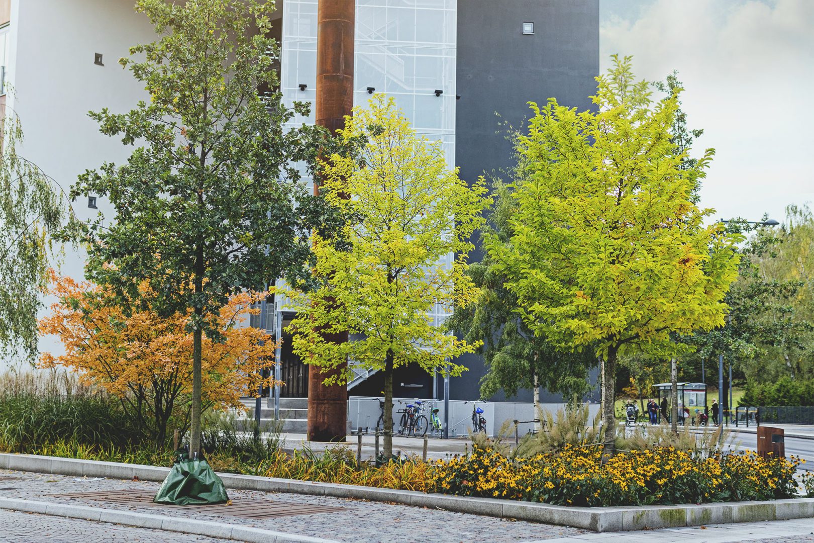 Blomstrande regnbäddar hjälper till i Uppsala