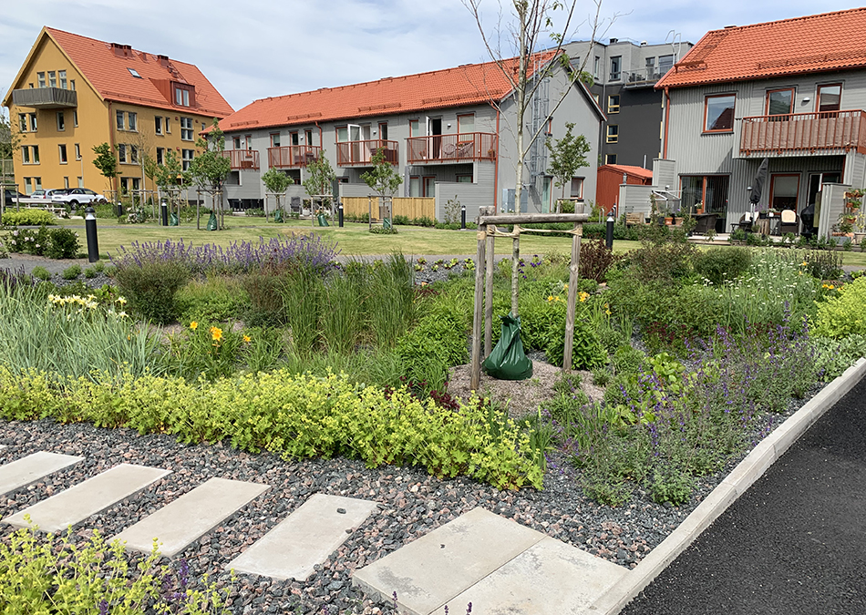 Dagvattenhantering med regnbäddar