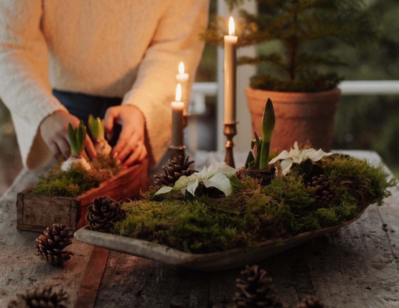 Dekorera med julblommor