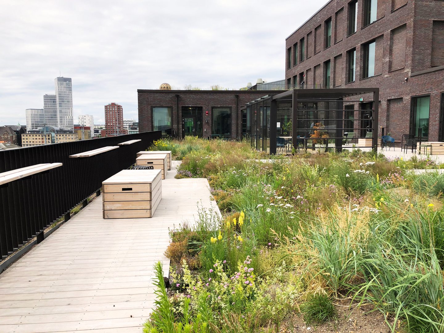 Grönt lättviktartak möjligt med Växtjord typ C