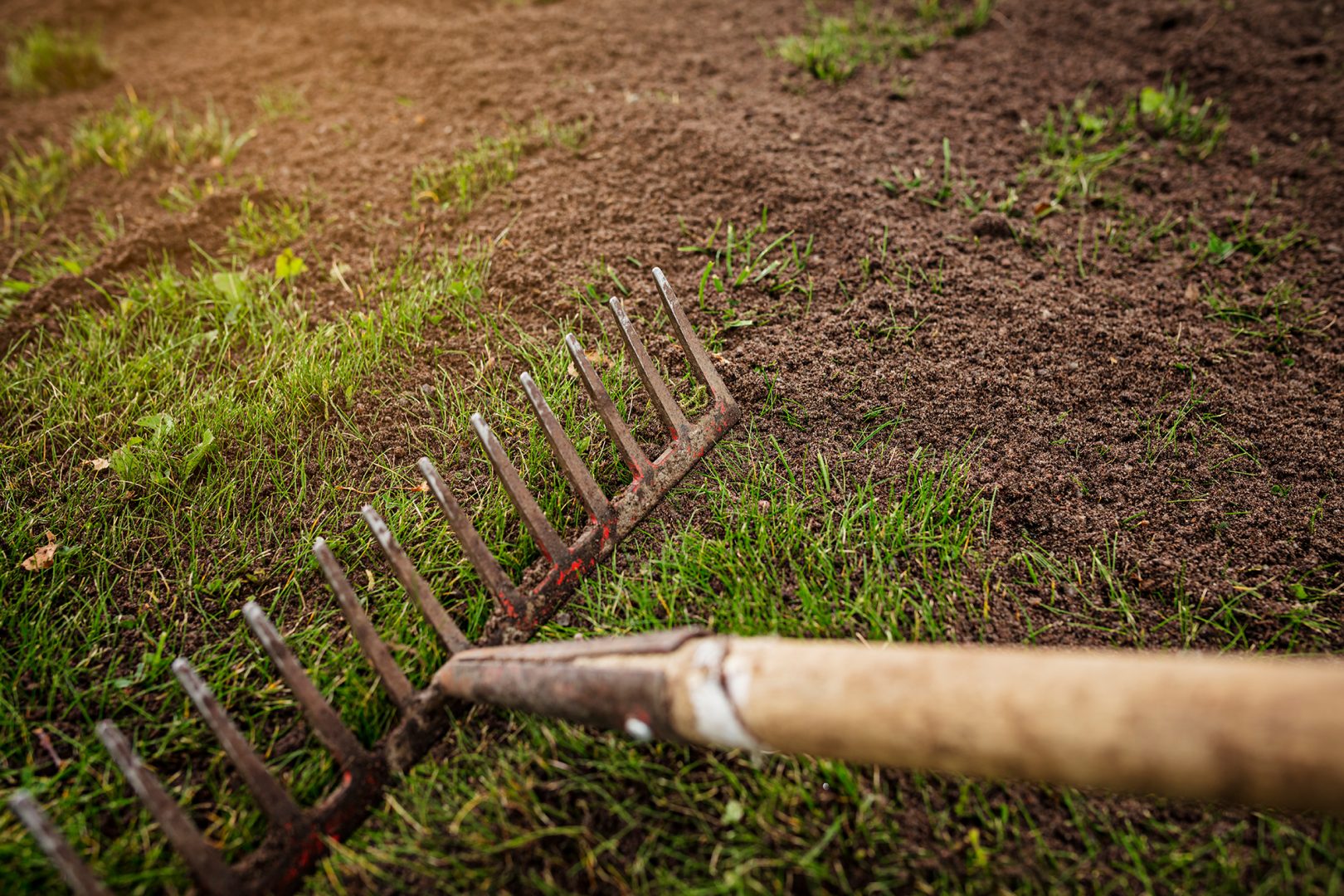 K-dress ger kraft till TrädgårdSmarts gräsmattor