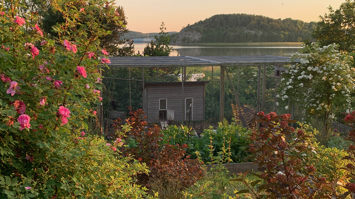 Skapa din drömträdgård