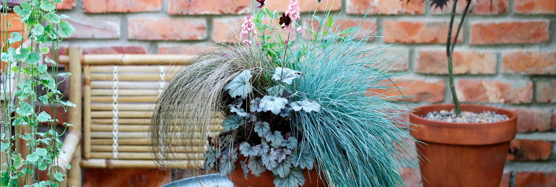 Sommarens trädgårdstrender