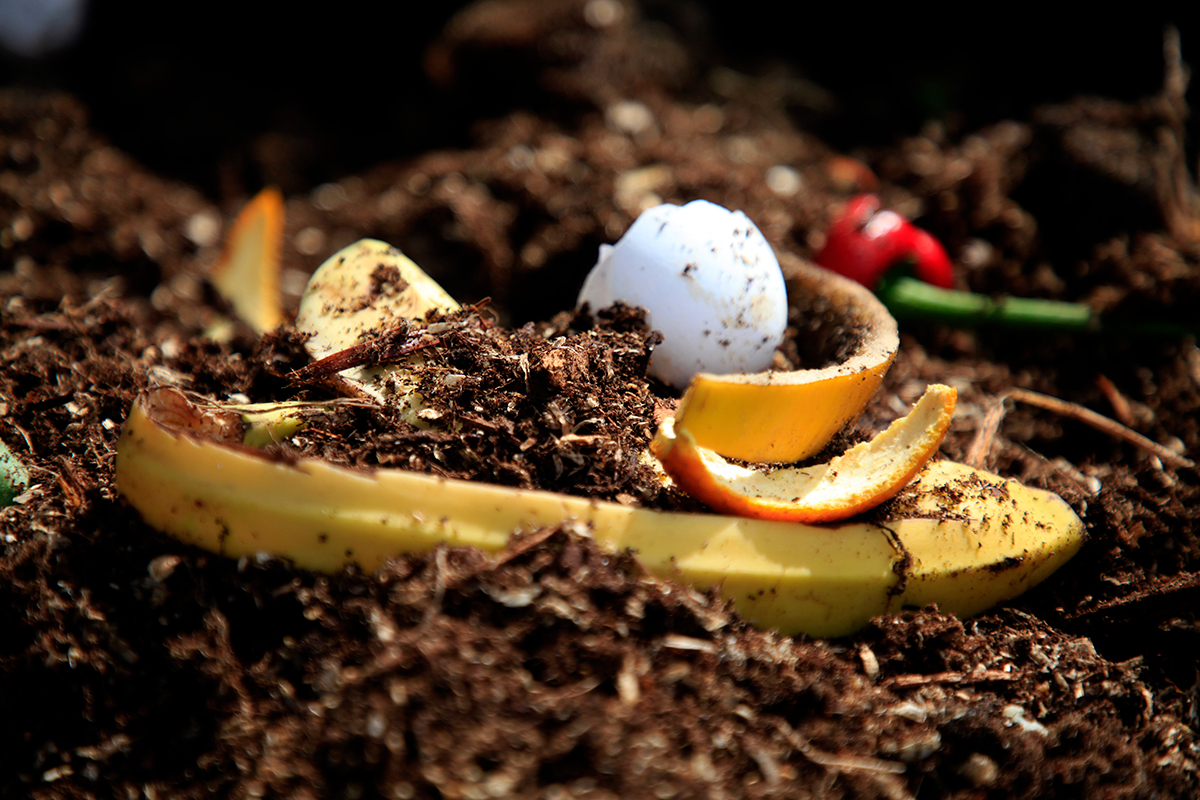 Kompostera hushålls- och trädgårdsavfall