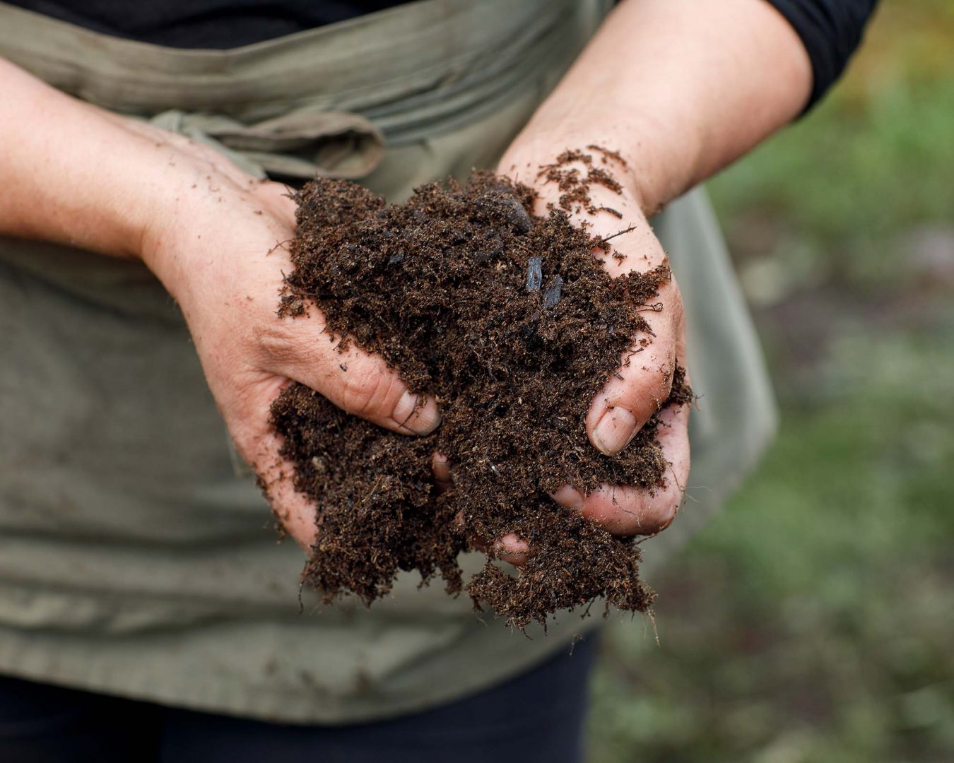 Skapa din egen jord – Så gör du