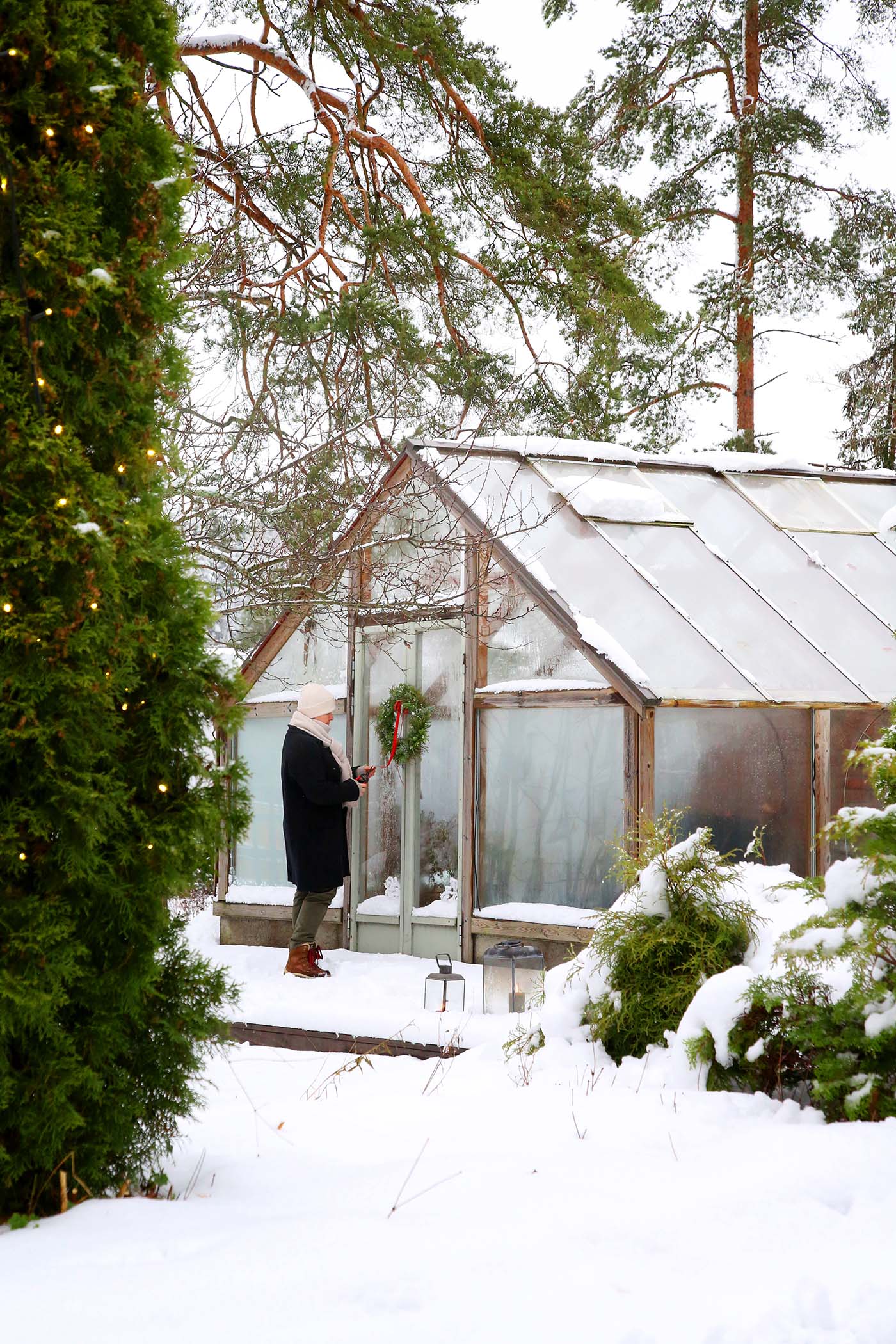 Snö i trädgården