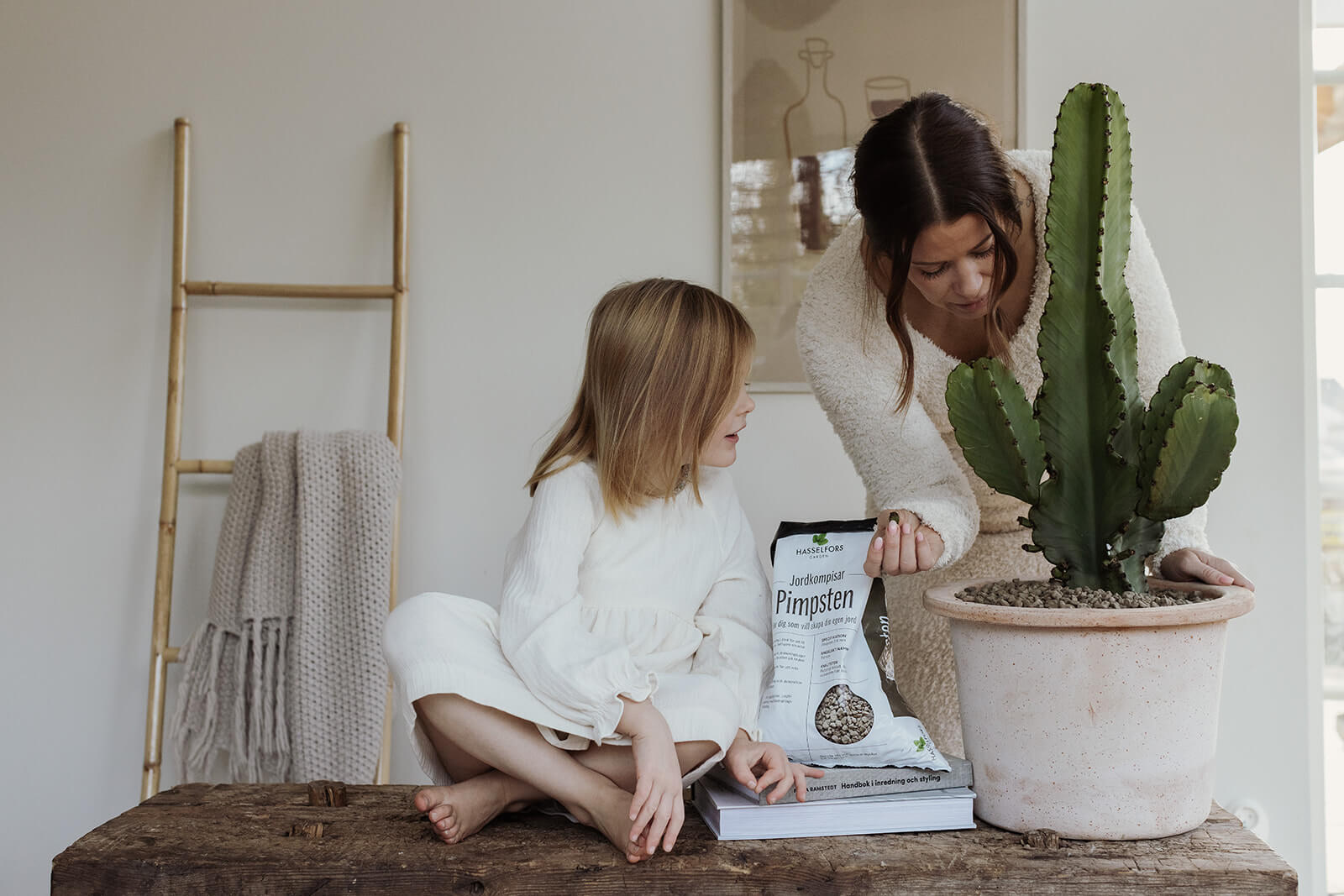 Lättskötta krukväxter med Pimpsten