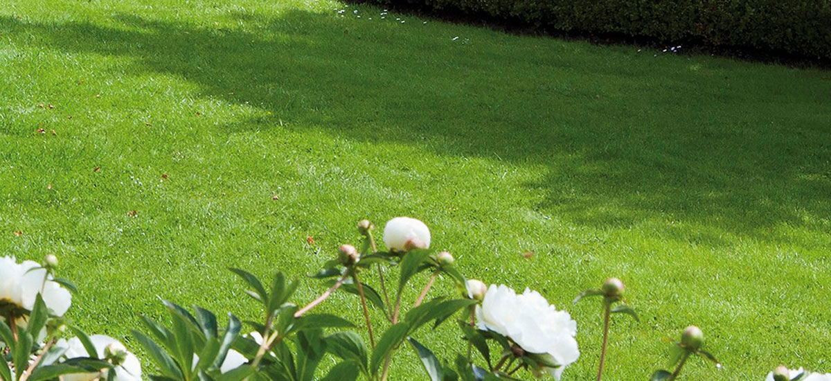 Hasselfors Garden förvärvar Algomin AB i Sverige