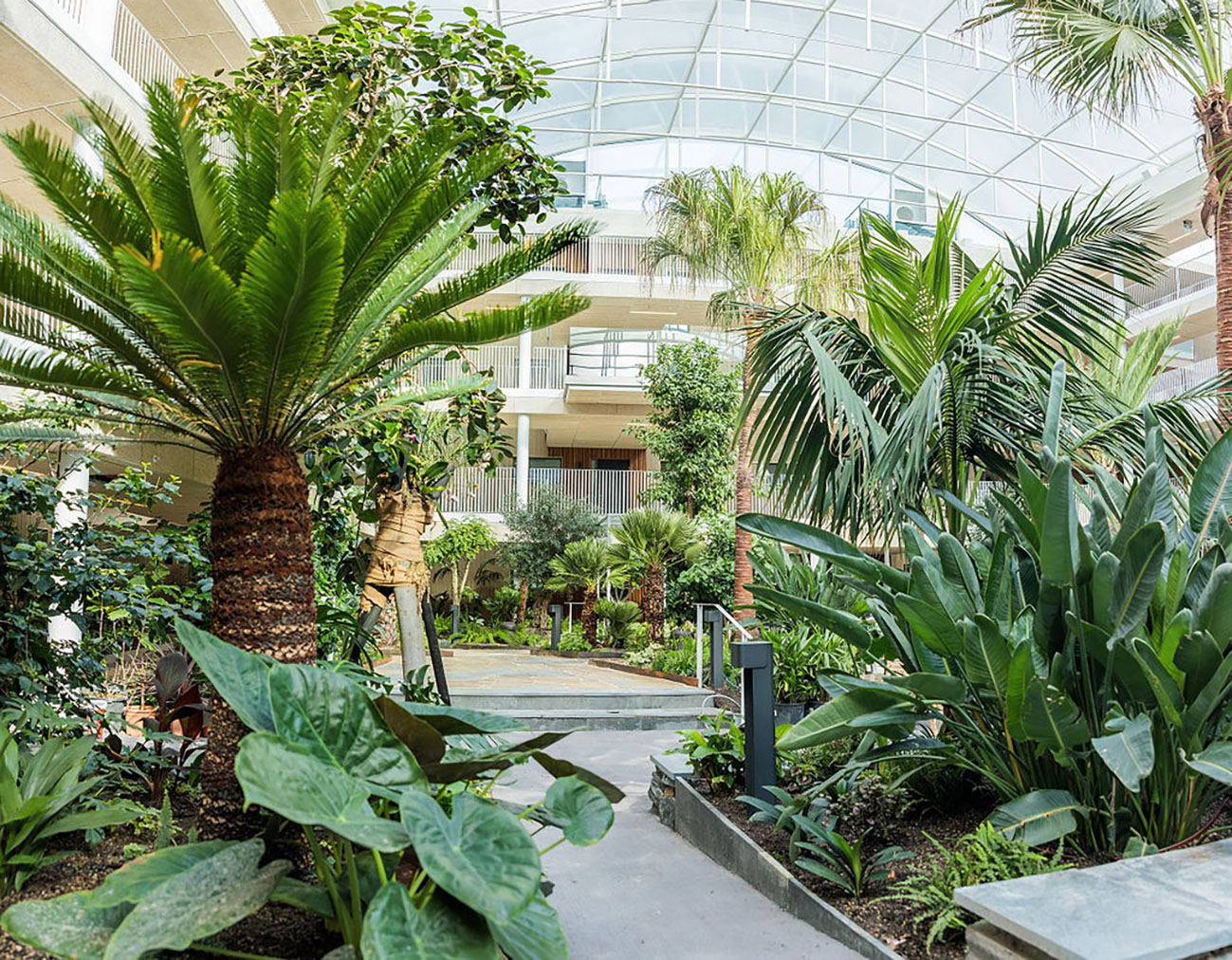 Jorden – en avgörande faktor i innerträdgårdar