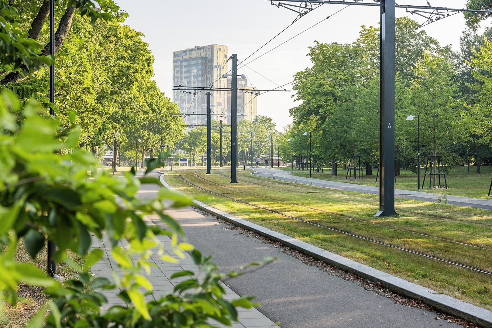 Spårvägen har gett Lund ett grönt stråk