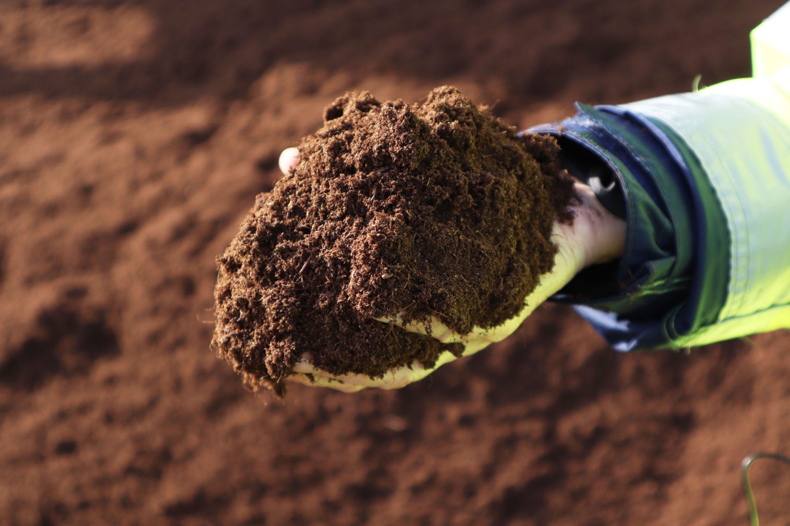 Information om torv, klimat och hållbarhet
