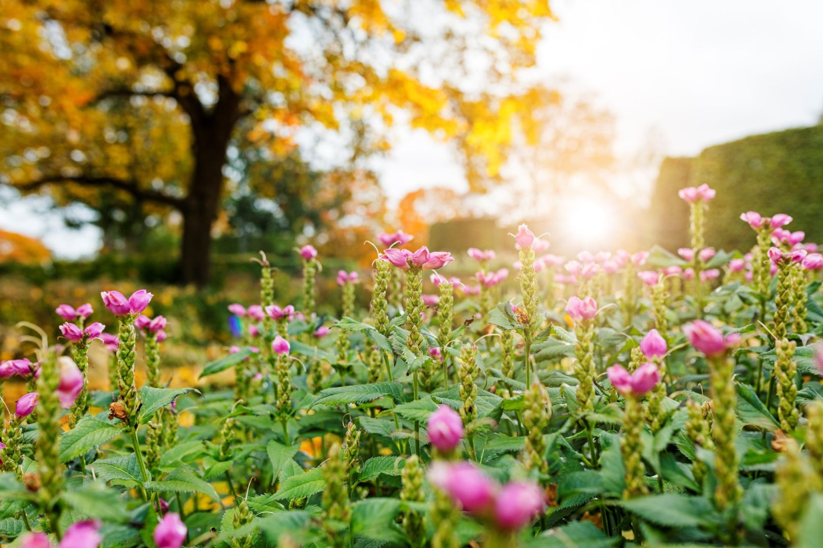 Hållbara val med livscykelanalys