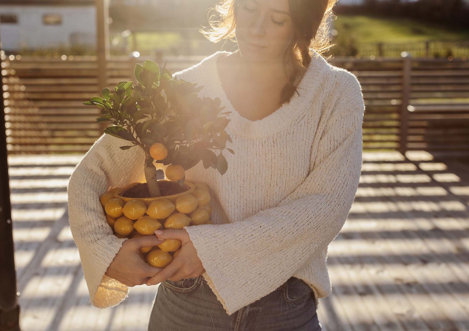 Lyckas med dina citrusväxter