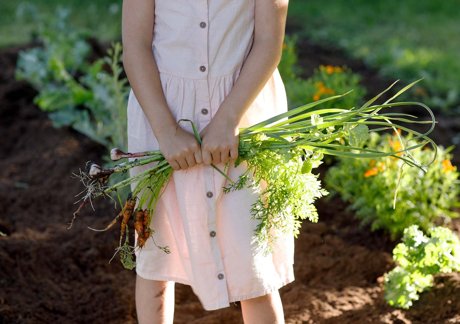 Potager köksträdgård – Vacker för ögat och bra för pollinatörer