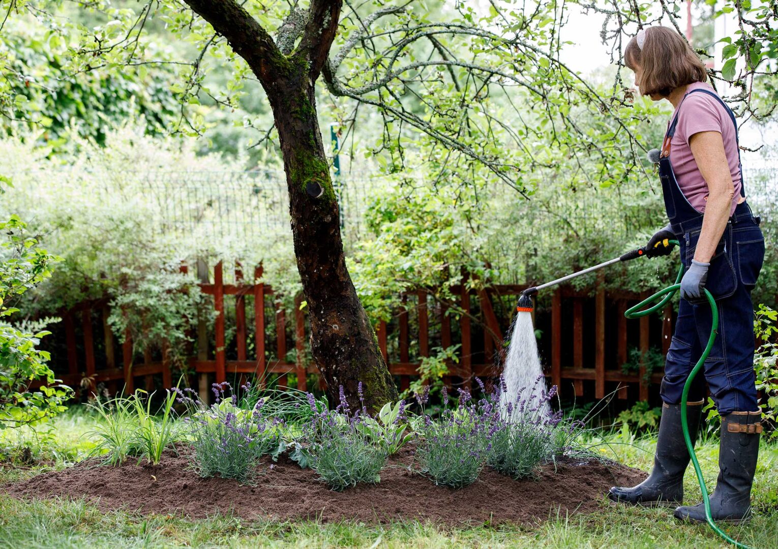 En no-dig rabatt under träden med ätliga perenner