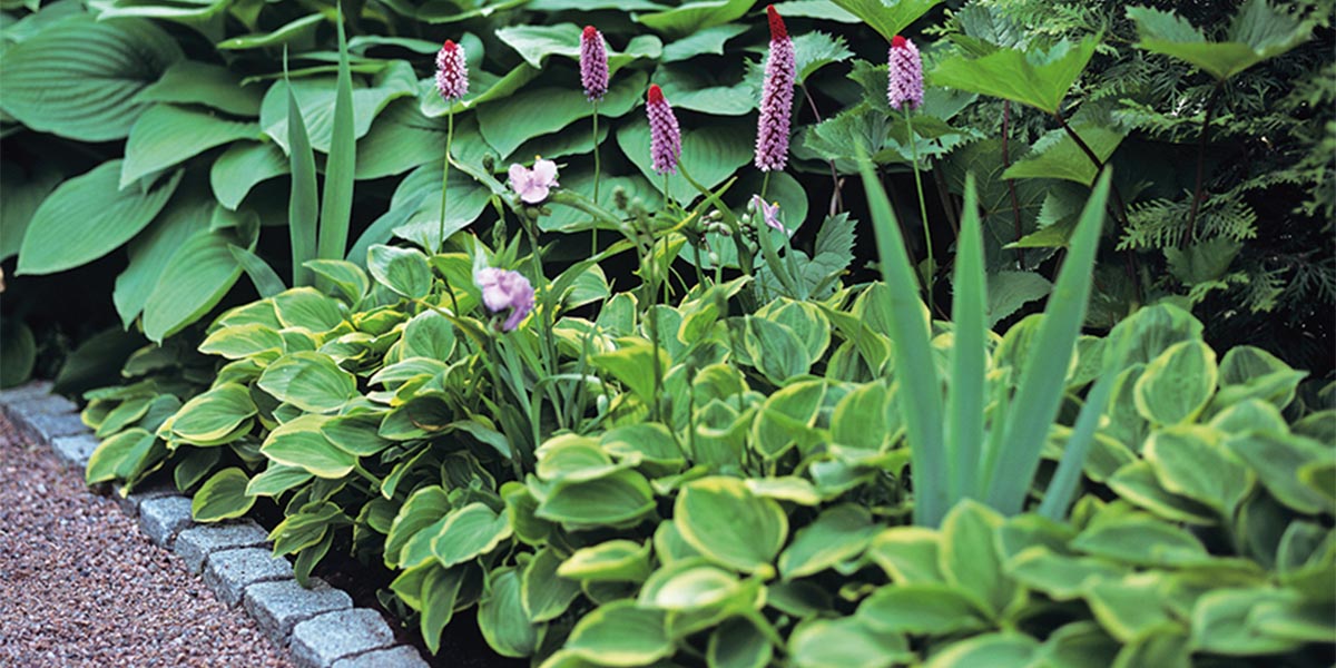 Trädgårdsjord E – Zero