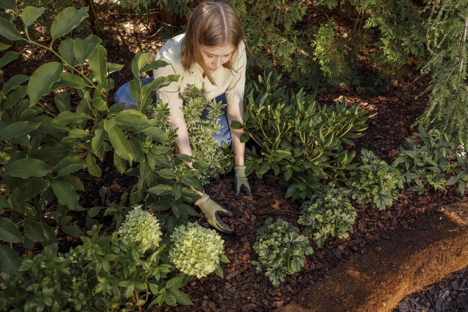 Skapa en rabatt med surjordsväxter
