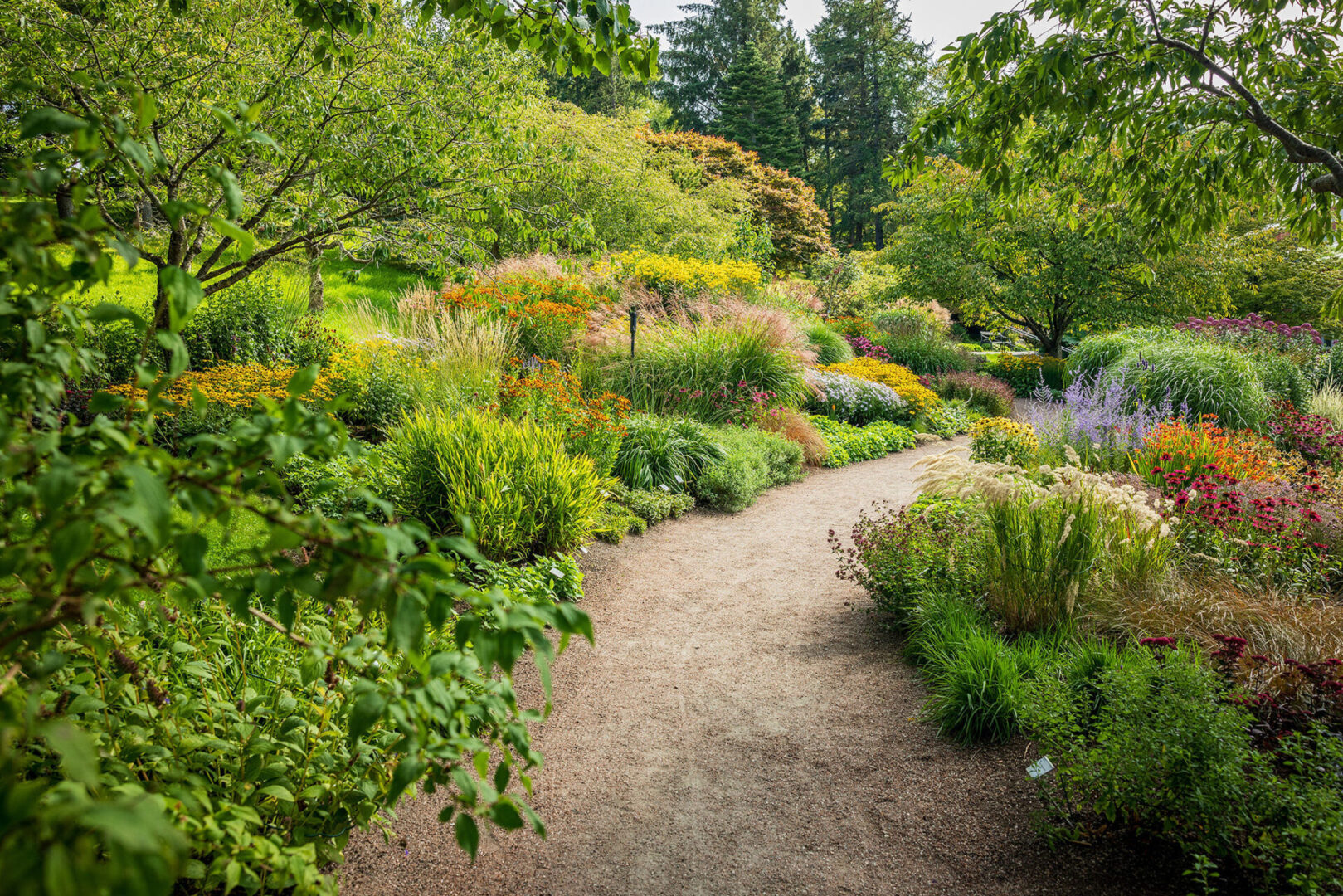 Frodiga planteringar på Göteborgs Botaniska trädgård