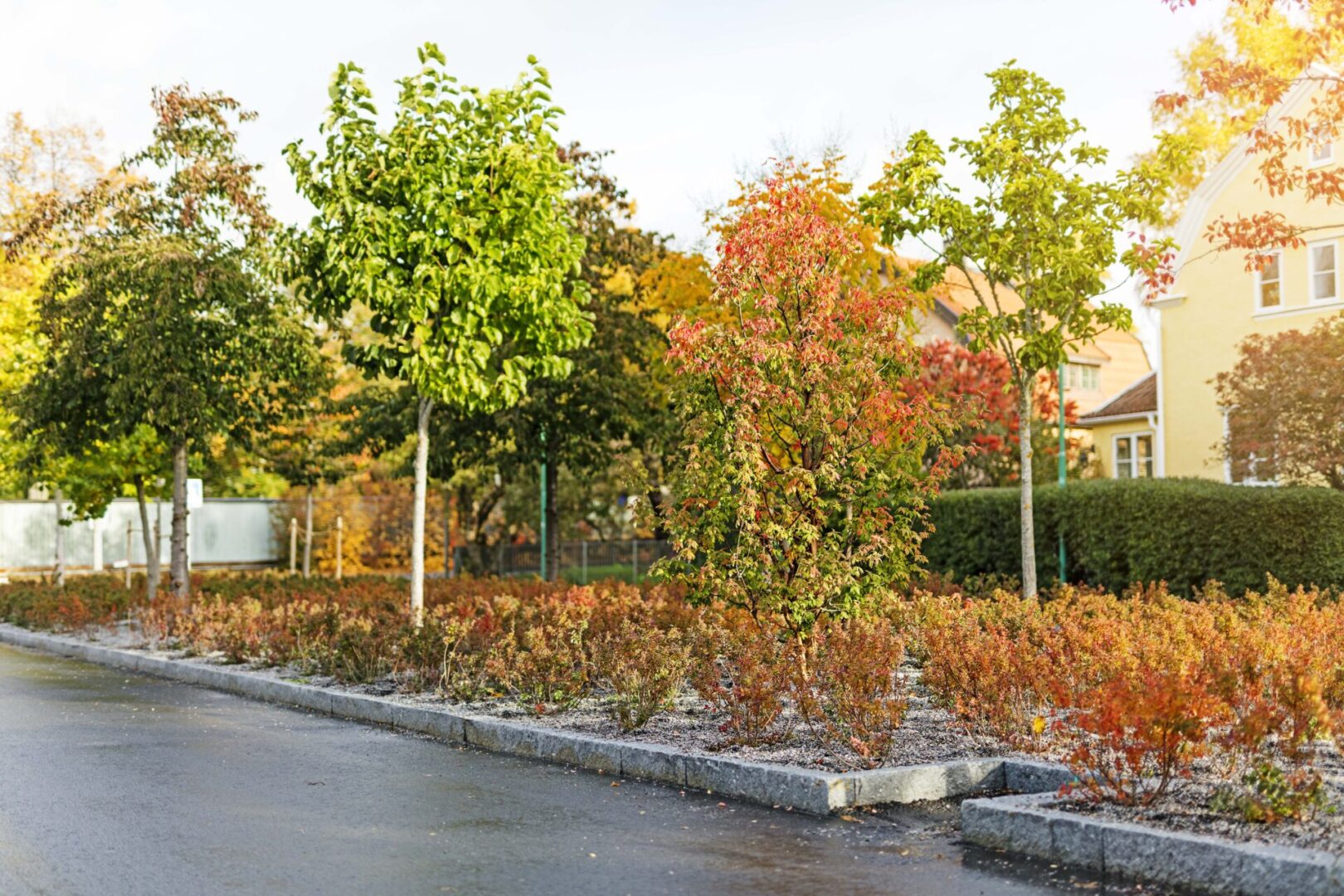 Citykross en hållbar lösning för dagvattenhantering i städer
