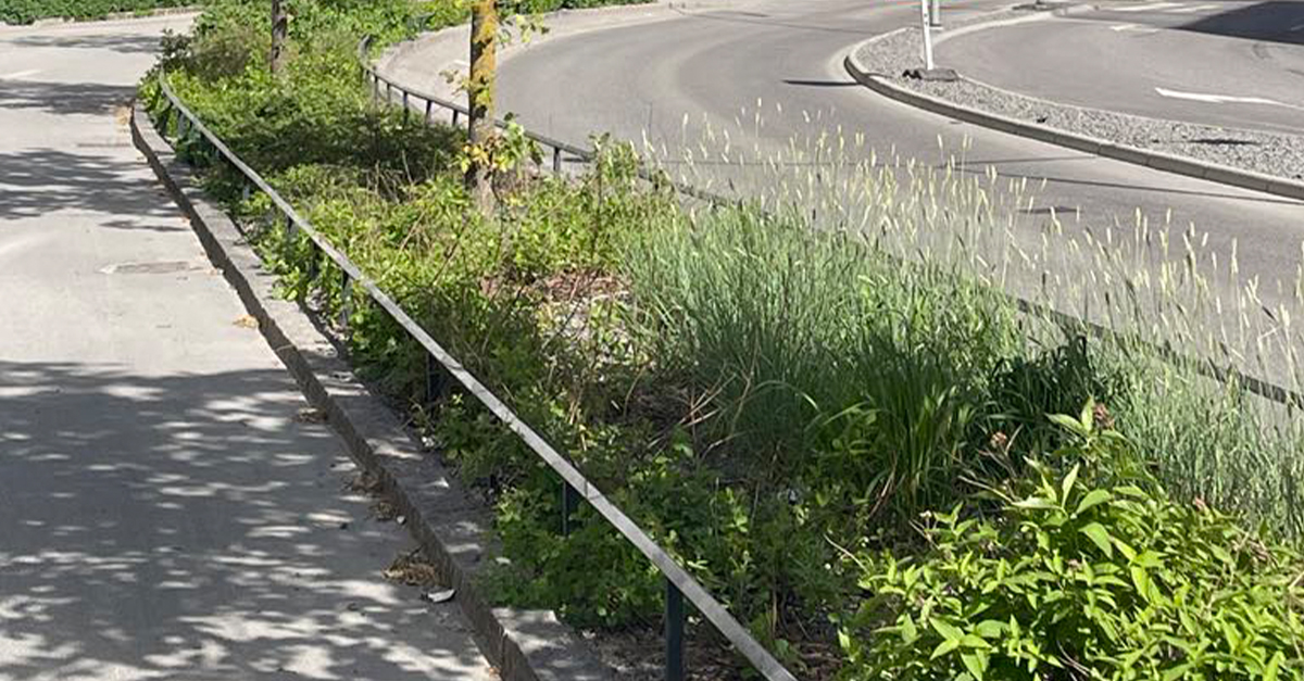 Innovativa lösningar i Uppsala