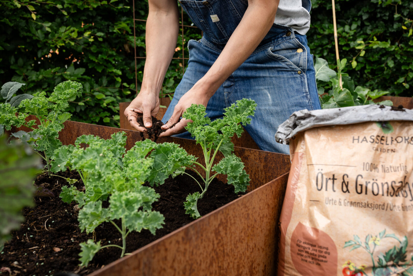 Odla ätbart i pallkrage