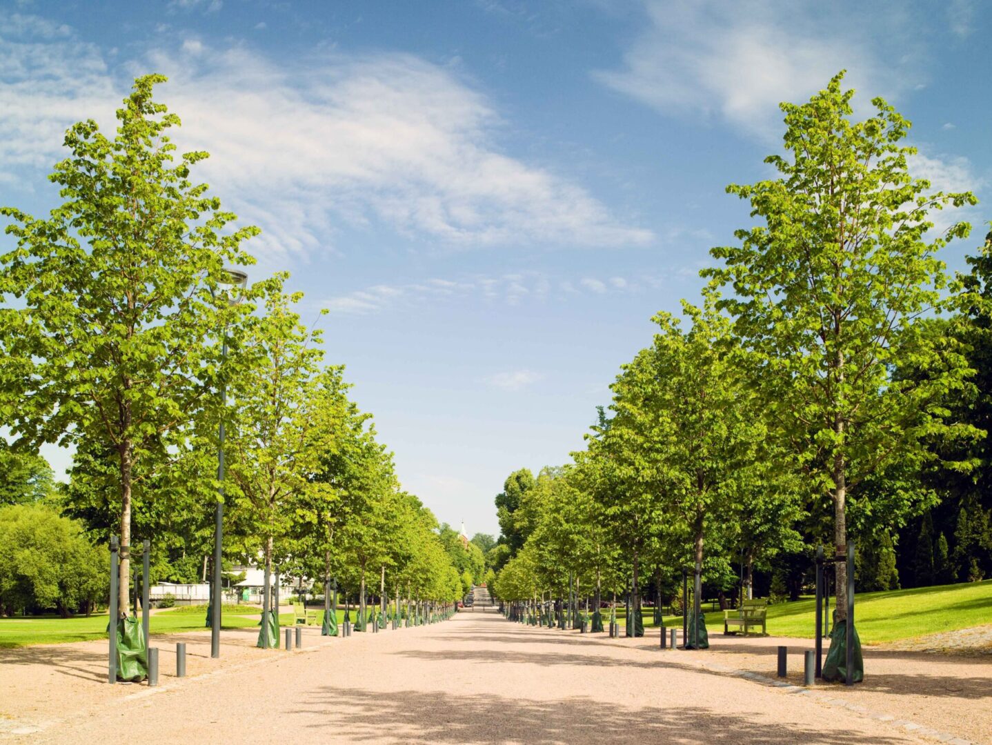 Bli bekant med termerna – kolsänkor, biokol och koldioxidkrediter