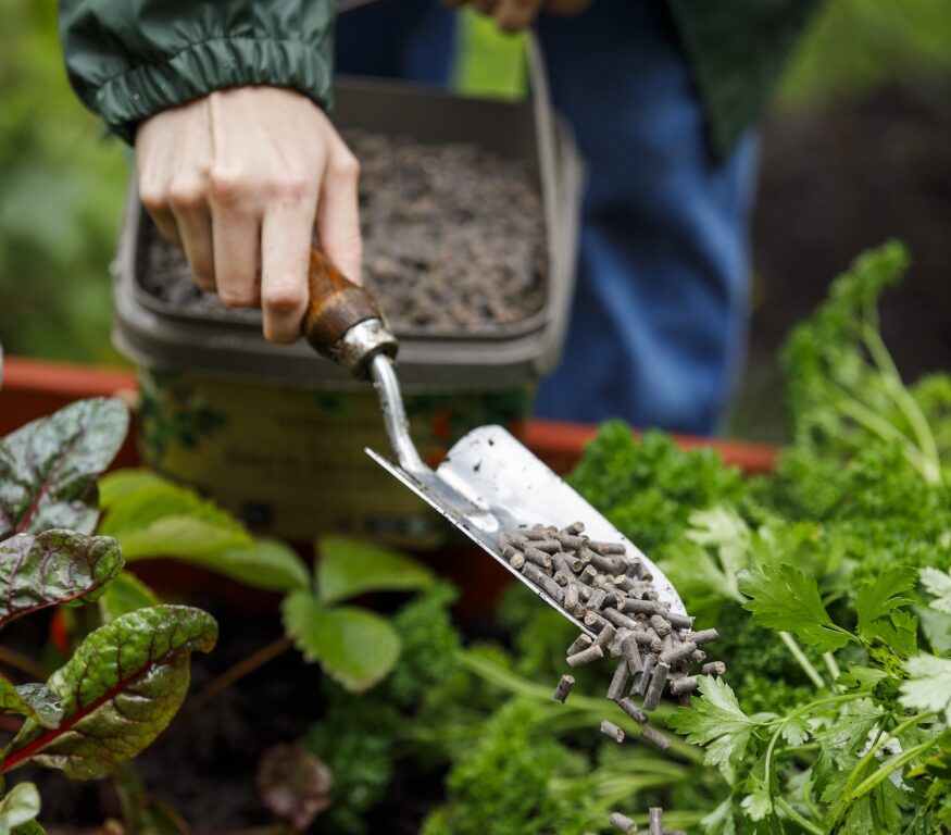gödsla torvfria jorden